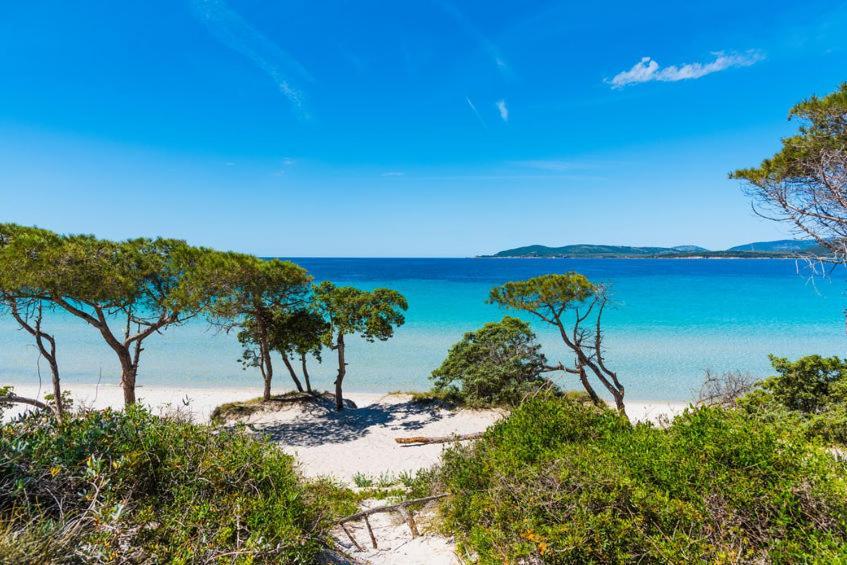 Alghero D'Estate Dış mekan fotoğraf